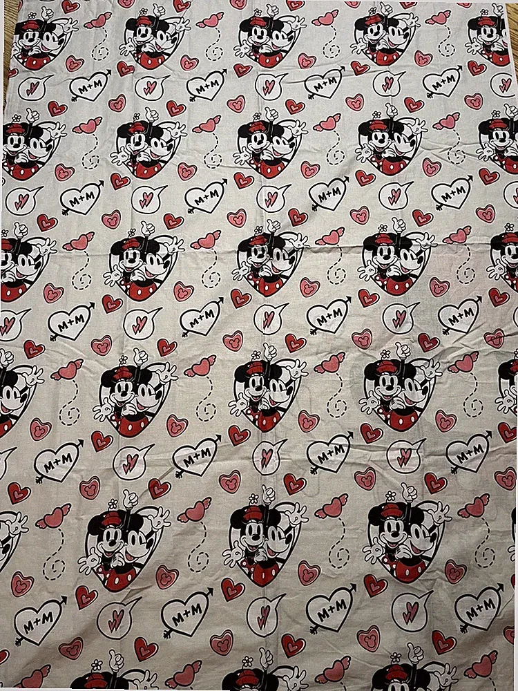 Mickey + Minnie Mouse Kids Bedding Twin Duvet Cover & Euro Sham Jay Franco Rare